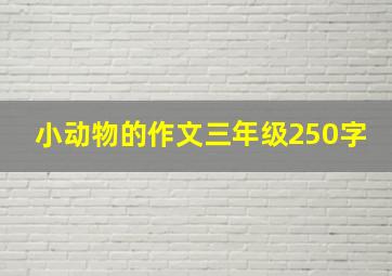 小动物的作文三年级250字