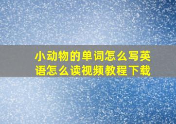 小动物的单词怎么写英语怎么读视频教程下载