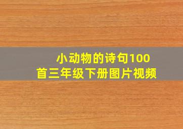 小动物的诗句100首三年级下册图片视频