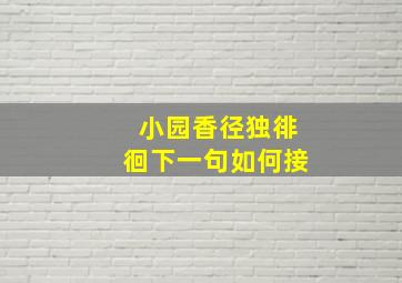 小园香径独徘徊下一句如何接