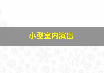 小型室内演出