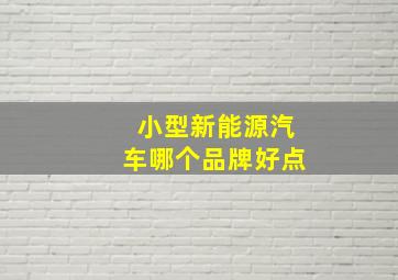 小型新能源汽车哪个品牌好点