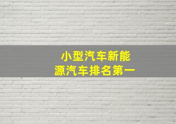 小型汽车新能源汽车排名第一