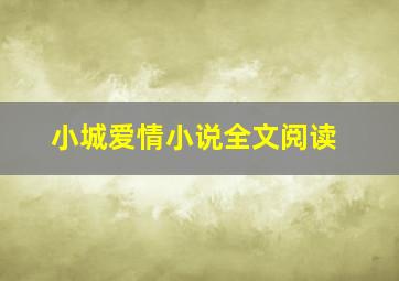 小城爱情小说全文阅读