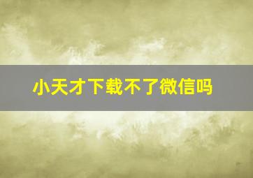 小天才下载不了微信吗