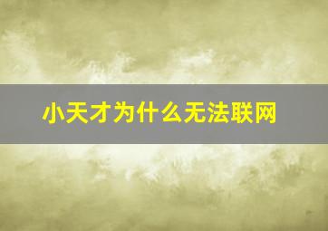 小天才为什么无法联网