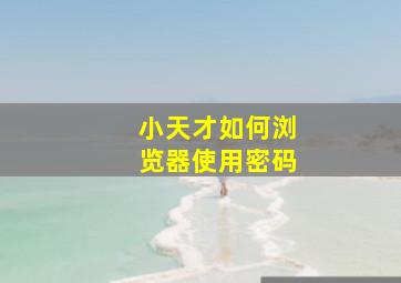 小天才如何浏览器使用密码