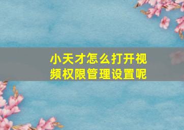 小天才怎么打开视频权限管理设置呢