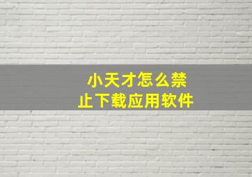 小天才怎么禁止下载应用软件