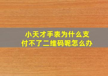 小天才手表为什么支付不了二维码呢怎么办