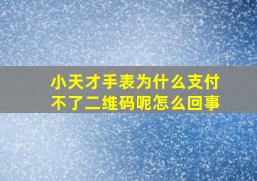 小天才手表为什么支付不了二维码呢怎么回事