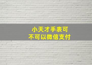 小天才手表可不可以微信支付