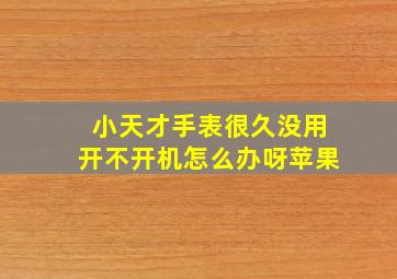 小天才手表很久没用开不开机怎么办呀苹果