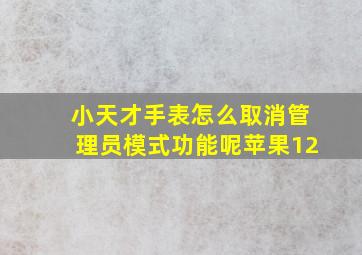 小天才手表怎么取消管理员模式功能呢苹果12