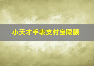 小天才手表支付宝限额