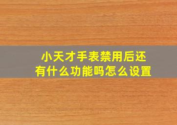 小天才手表禁用后还有什么功能吗怎么设置