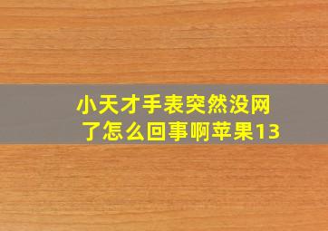 小天才手表突然没网了怎么回事啊苹果13