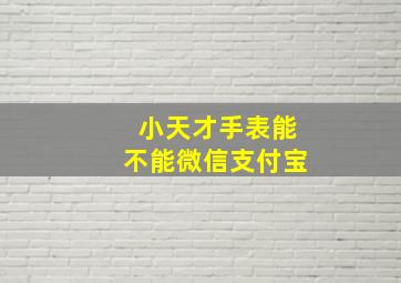 小天才手表能不能微信支付宝