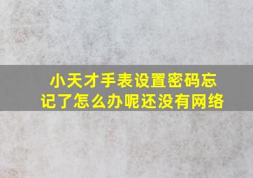 小天才手表设置密码忘记了怎么办呢还没有网络