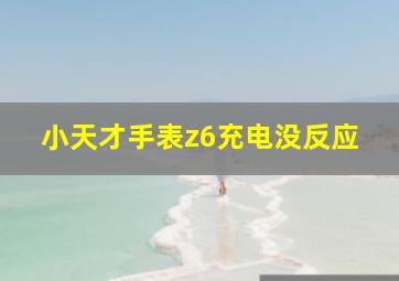 小天才手表z6充电没反应