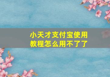 小天才支付宝使用教程怎么用不了了