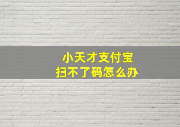 小天才支付宝扫不了码怎么办