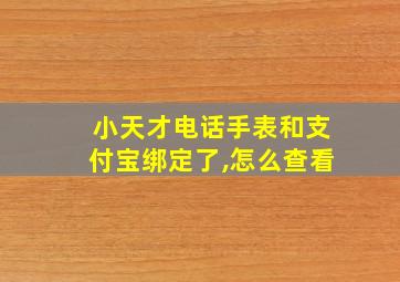 小天才电话手表和支付宝绑定了,怎么查看