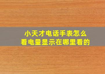 小天才电话手表怎么看电量显示在哪里看的