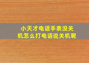 小天才电话手表没关机怎么打电话说关机呢