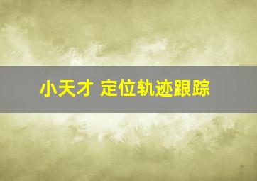 小天才 定位轨迹跟踪