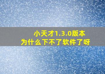 小天才1.3.0版本为什么下不了软件了呀