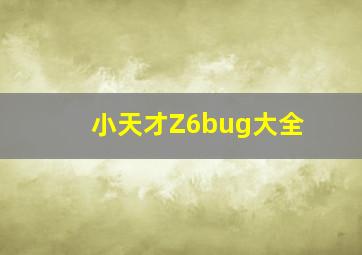 小天才Z6bug大全