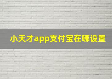 小天才app支付宝在哪设置