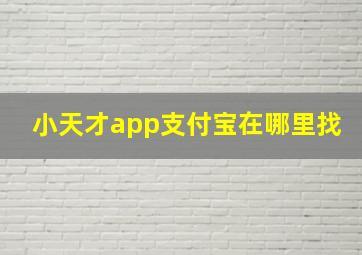 小天才app支付宝在哪里找