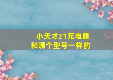 小天才z1充电器和哪个型号一样的