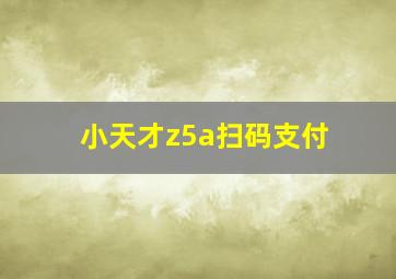 小天才z5a扫码支付