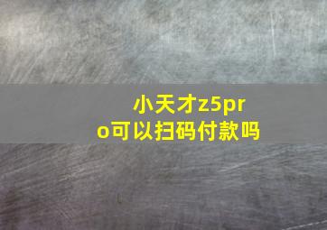 小天才z5pro可以扫码付款吗