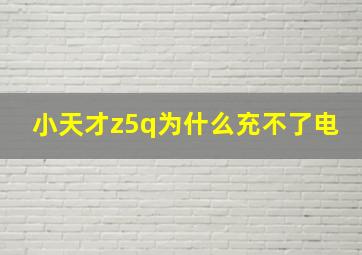 小天才z5q为什么充不了电