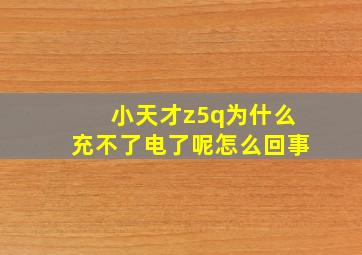 小天才z5q为什么充不了电了呢怎么回事