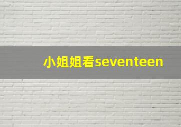 小姐姐看seventeen