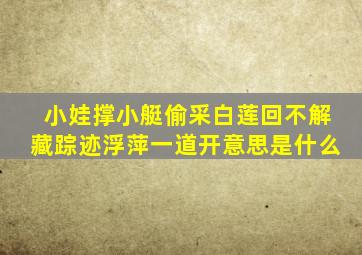 小娃撑小艇偷采白莲回不解藏踪迹浮萍一道开意思是什么