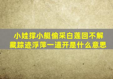 小娃撑小艇偷采白莲回不解藏踪迹浮萍一道开是什么意思