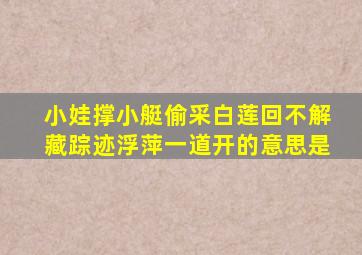 小娃撑小艇偷采白莲回不解藏踪迹浮萍一道开的意思是