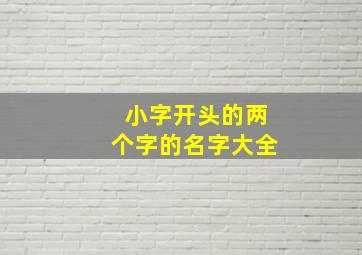 小字开头的两个字的名字大全