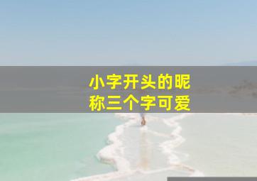 小字开头的昵称三个字可爱