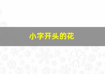 小字开头的花