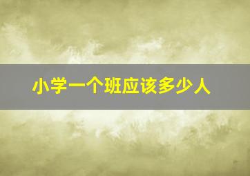 小学一个班应该多少人