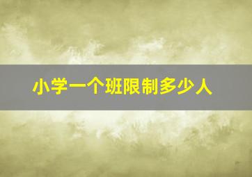 小学一个班限制多少人