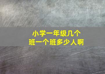 小学一年级几个班一个班多少人啊