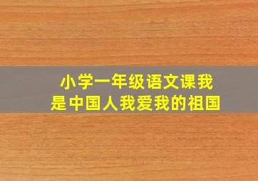 小学一年级语文课我是中国人我爱我的祖国